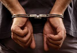 The Legal Battlefield: Strategies and Struggles in Criminal Litigation